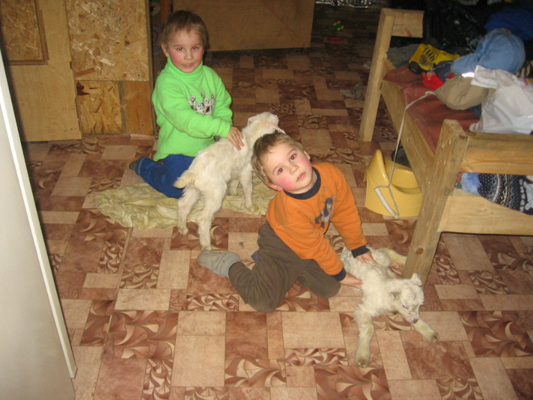 Ребята и козлята))