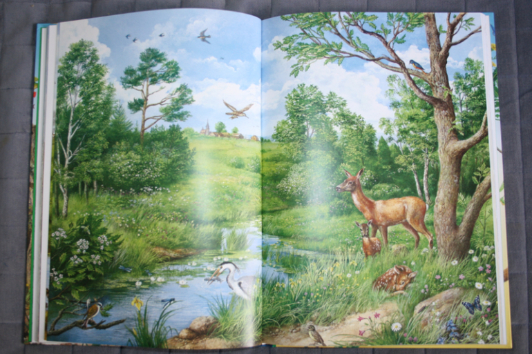 Дневник читателя - Леля - 4 года 6 месяцев - Май 2014