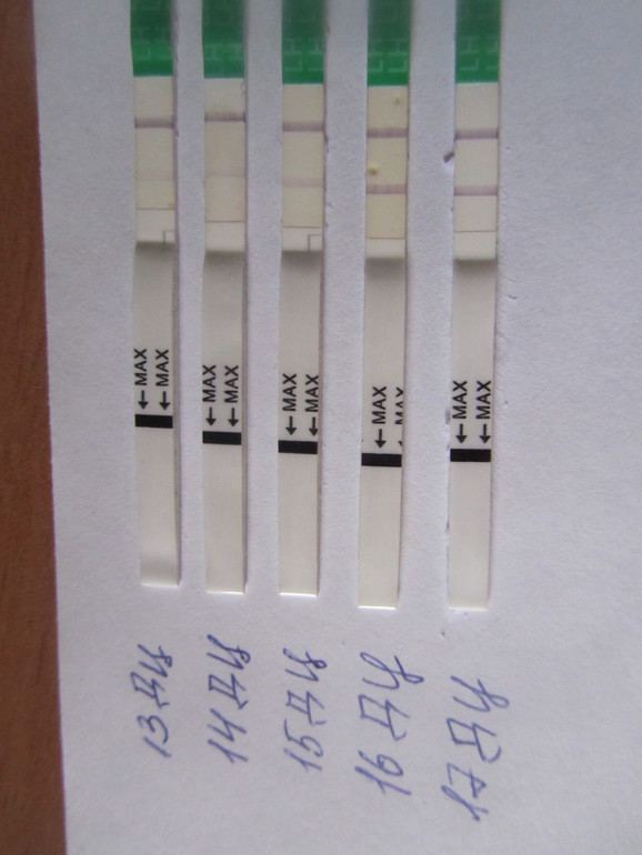 Посмотрите мои тесты плиз....