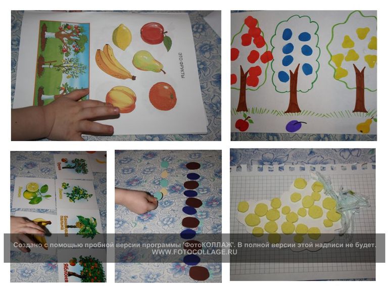 Фрукты. День 4.