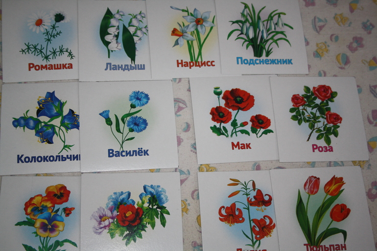 Цветы-цветочки.