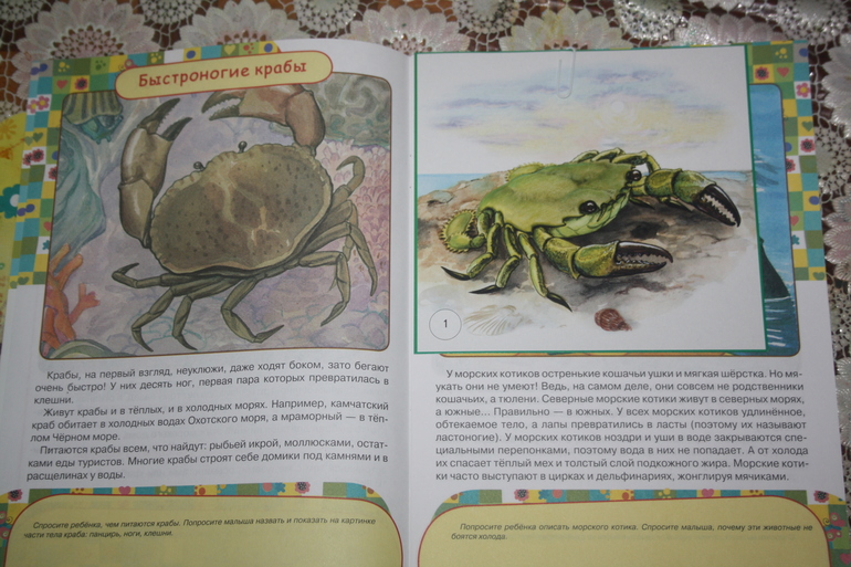 Обитатели морей и океанов.  День 5.