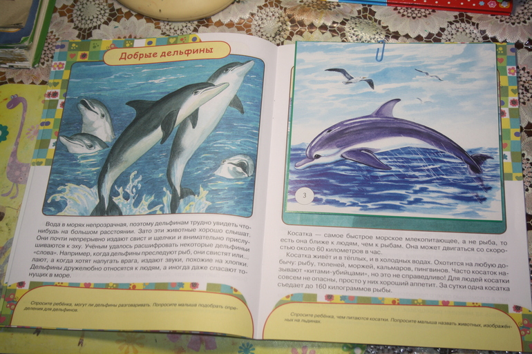 Обитатели морей и океанов. День 4.