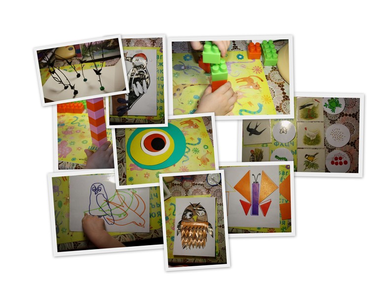 Птицы. 4. Лесные.