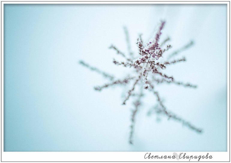 У нас тоже мороз)))