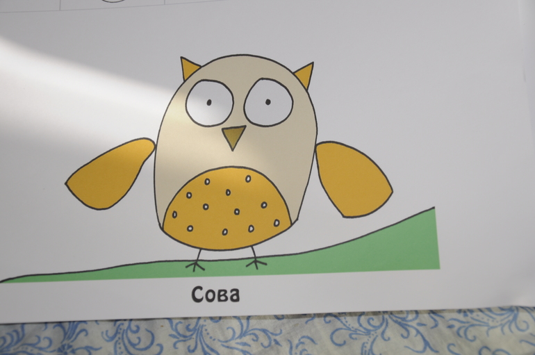 Художником может стать каждый!