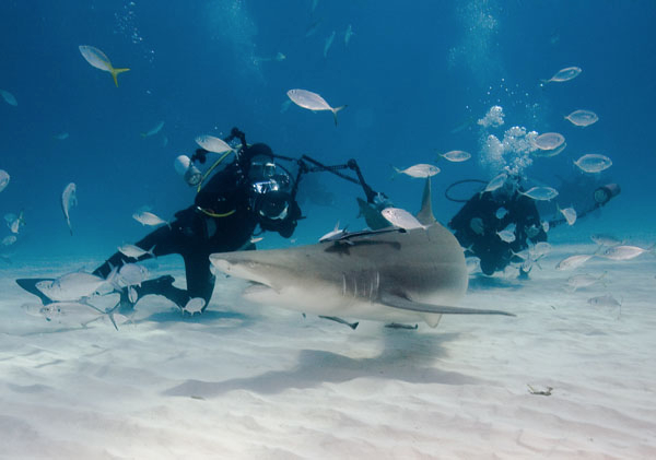 Ты понимаешь, что он говорит?