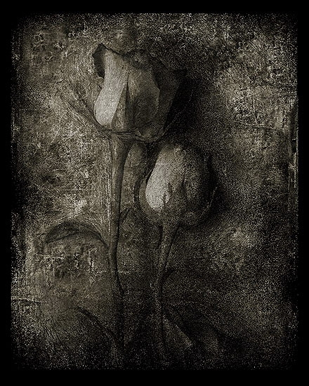 Новое платье кружевной жаккард!МОЕ ЛЮБИМОЕ))))