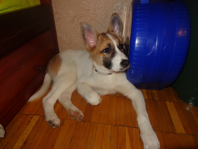 Витамины,фрукты,овощи,кисломолочка...