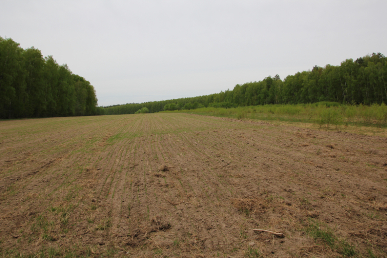 Продаю участок 5 Га