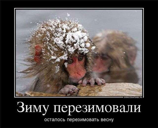 Про сегодня