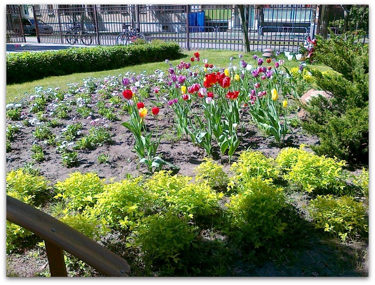 Весна глазами Любы-2.