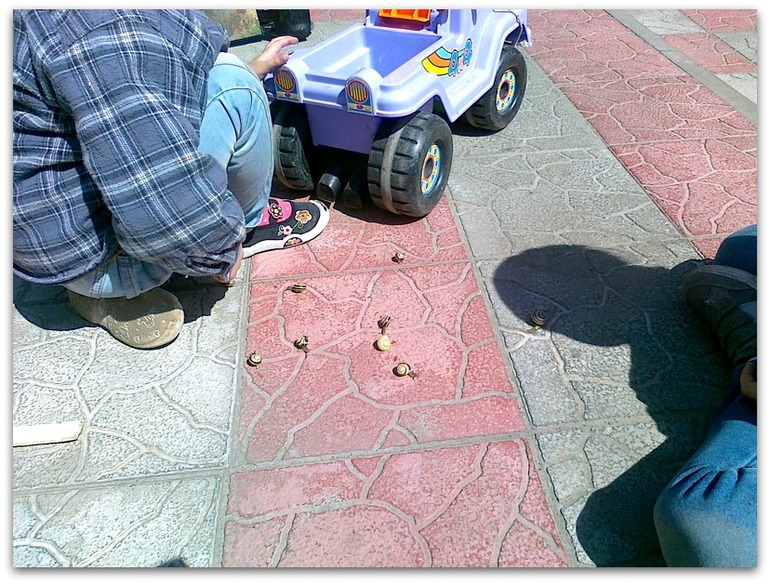 Улитка - лучший друг детей.