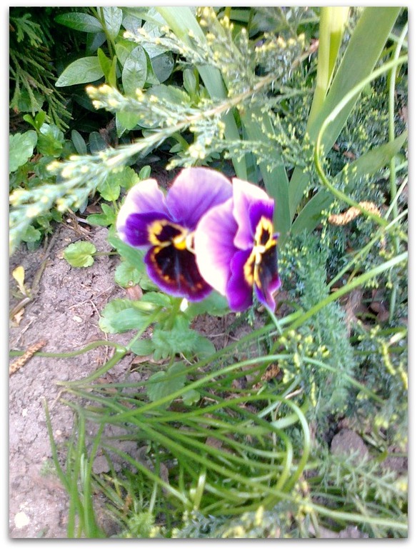 Весна глазами Любы.