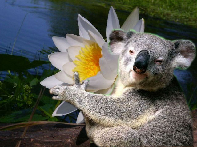 Контрольное задание № 2 "Вырезаем объект"