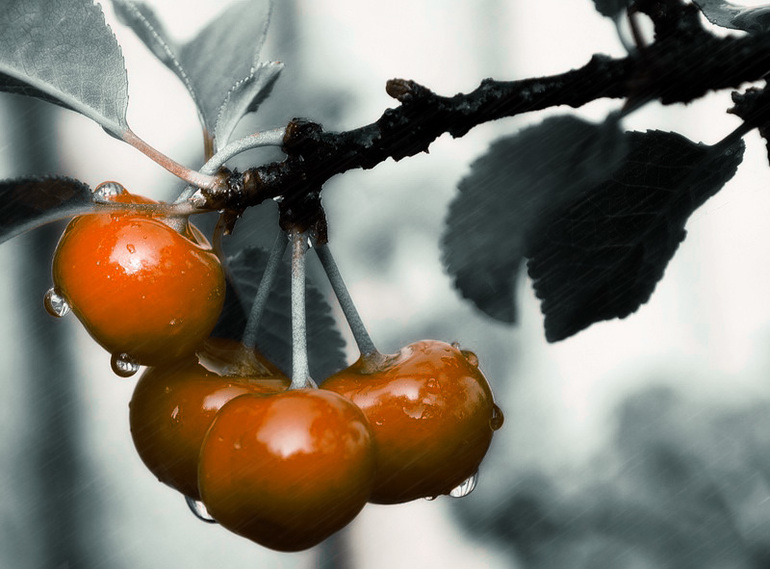 КЗ № 48. Мягкий контрастный эффект