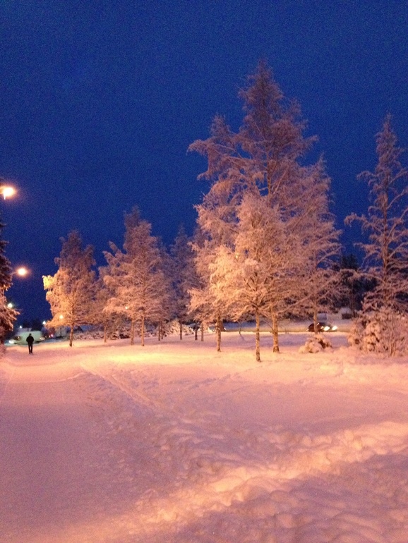 Прогулки