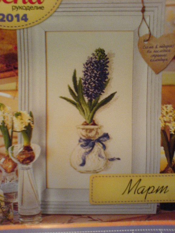 Калининградский хомячок готов переехать в новый дом