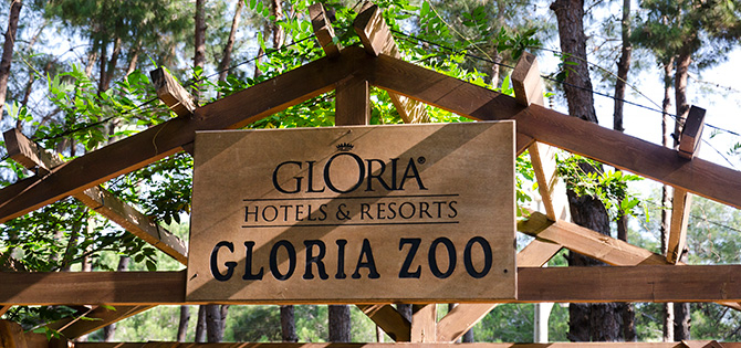 Отдых с детьми в Турции.Gloria Verde Resort 5*