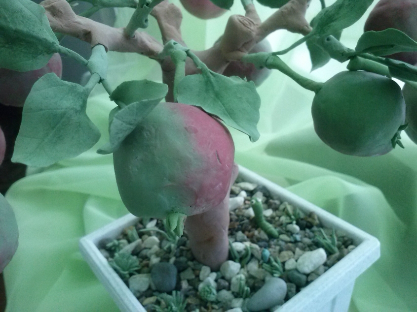 Бонсай "Яблочный вкус"