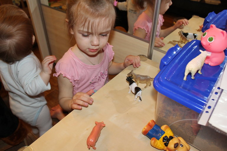 ТН "Домашние животные" 1 день. Вводный