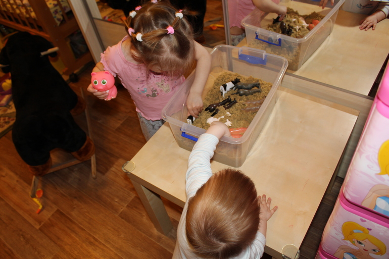 ТН "Домашние животные" 1 день. Вводный