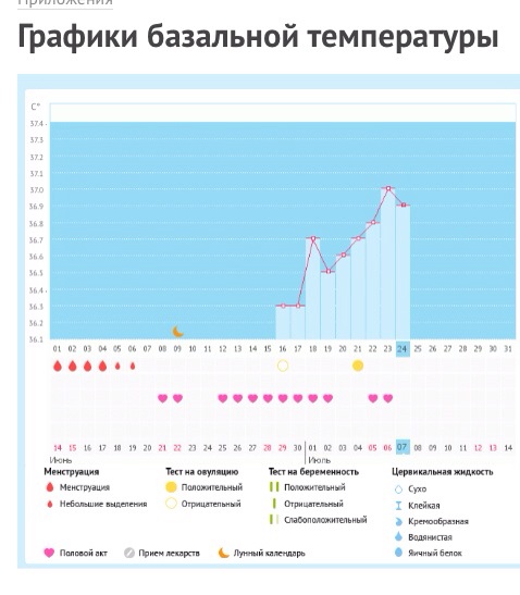 Подскажите когда была овуляция .