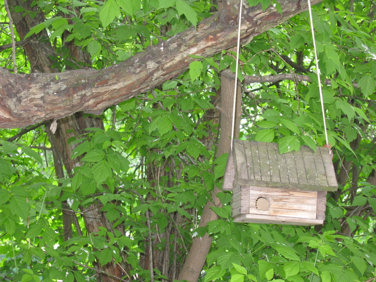 И еще немного Кусково.