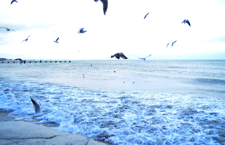 Моя любимая Евпатория))