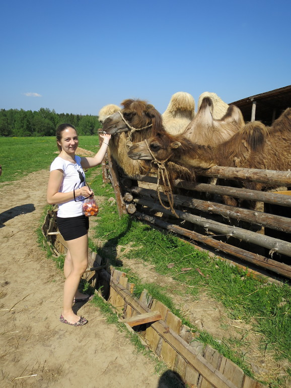 Выходные и не только часть 2