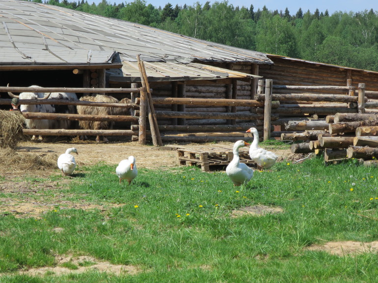 Выходные и не только часть 2