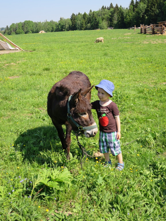 Выходные и не только часть 2