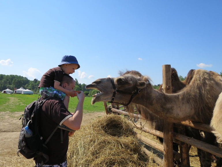 Выходные и не только часть 2