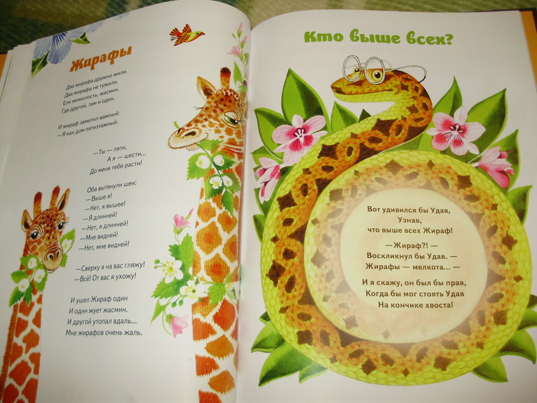 Зимние книги и другие новинки декабря