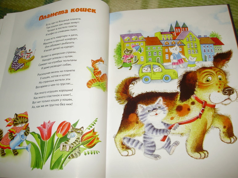 Зимние книги и другие новинки декабря