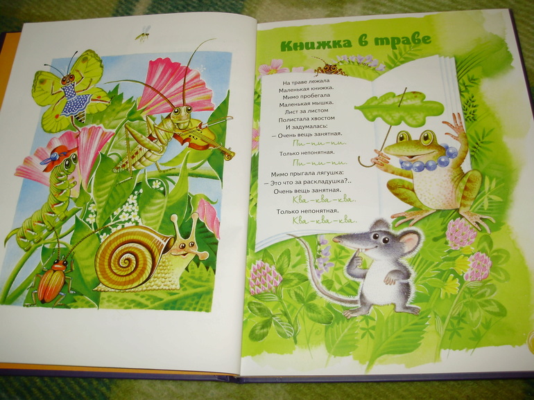 Зимние книги и другие новинки декабря