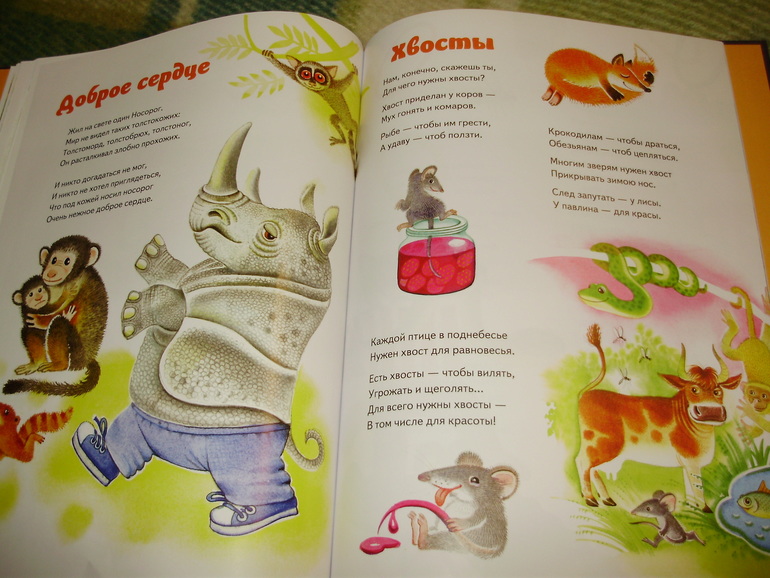 Зимние книги и другие новинки декабря