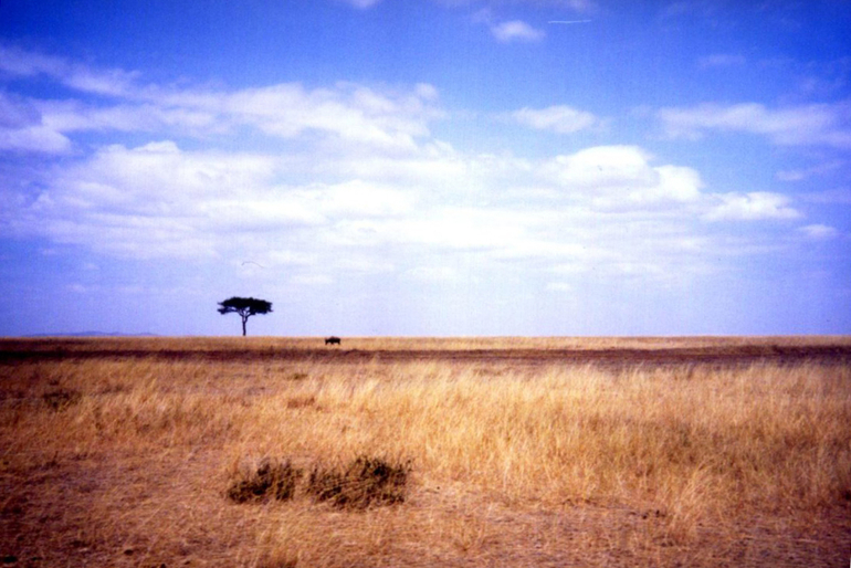 Контрольное задание № 25. "Выравниваем линию горизонта"