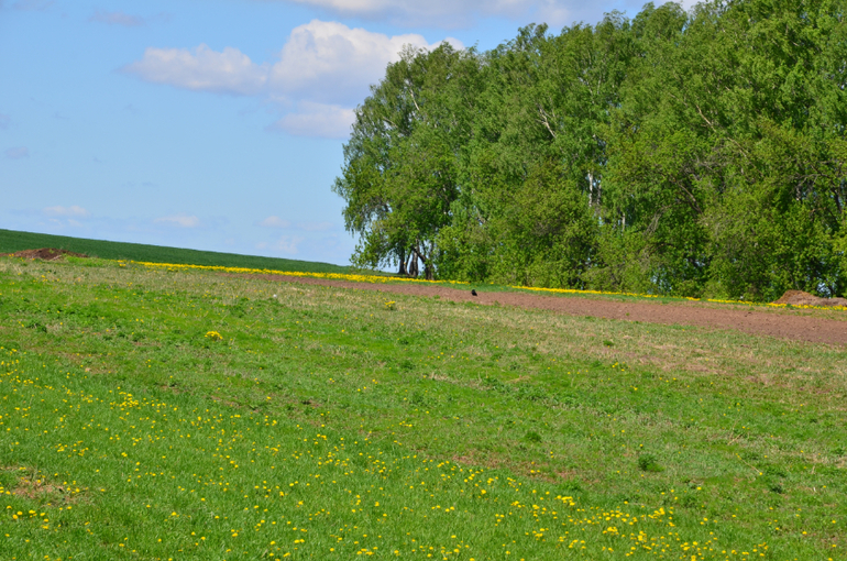 деревня.красота