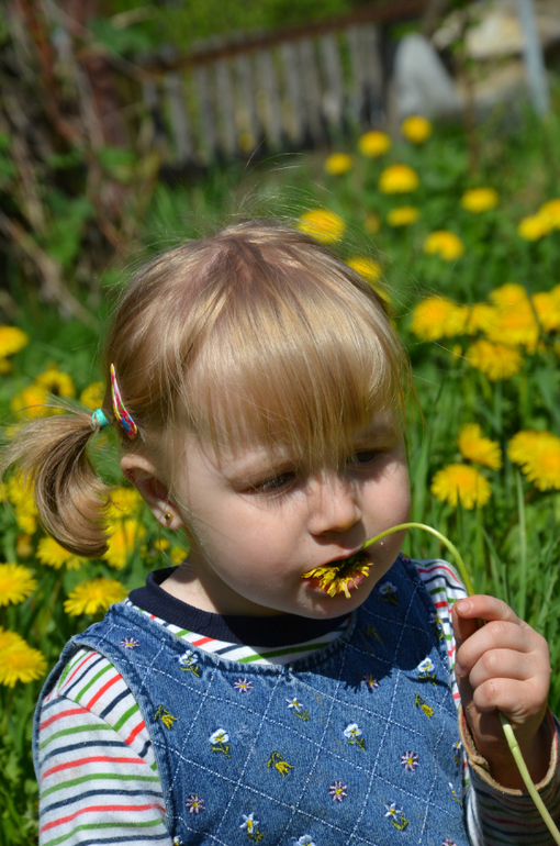 мы в деревне