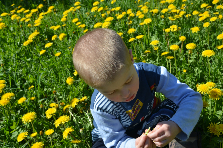 мы в деревне