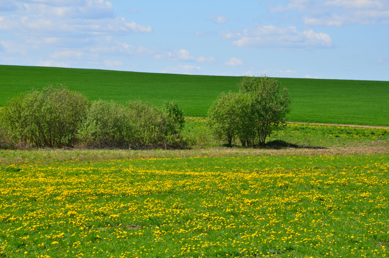 деревня.красота