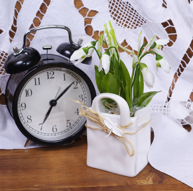 подснежники...