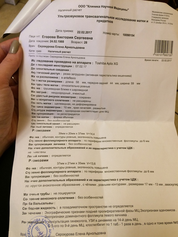 Узи фолликул доминантный день за днем Узи фолликул доминантный день за днем