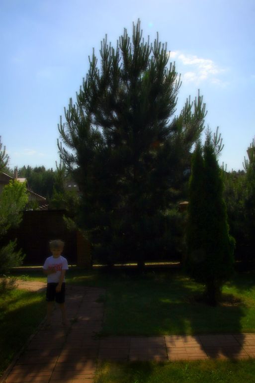 Лето - это маленькая жизнь