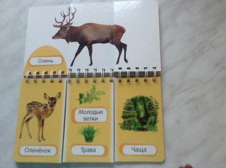 Обзор книжек Азбукварика