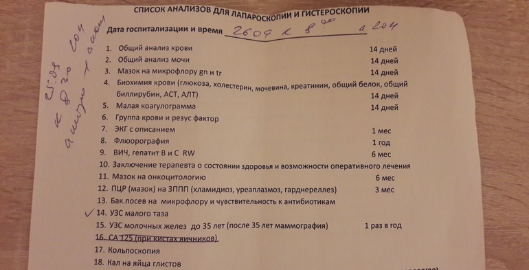 Орхидеи - Цветы, комнатные растения, семена и саженцы. - Avito Орхидеи - Комнатные растения