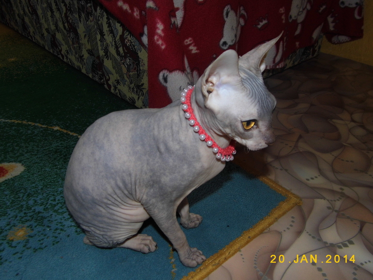 нашей девочке 6 мес))))