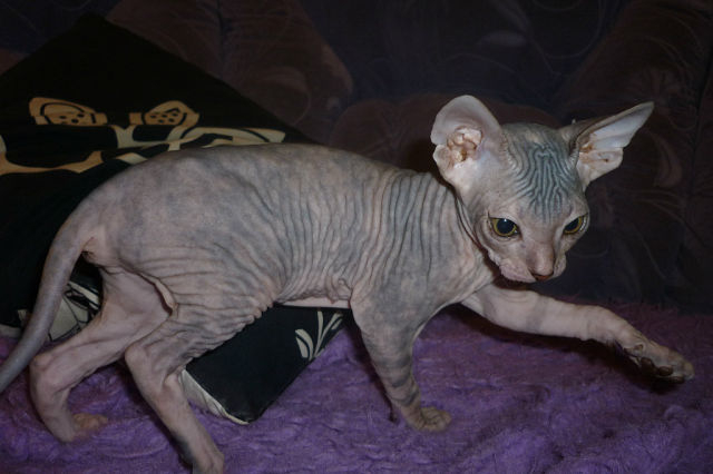 нашей девочке 8 мес.