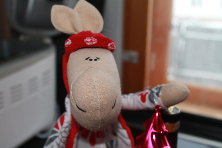 Моя лошадка - новогодний талисман